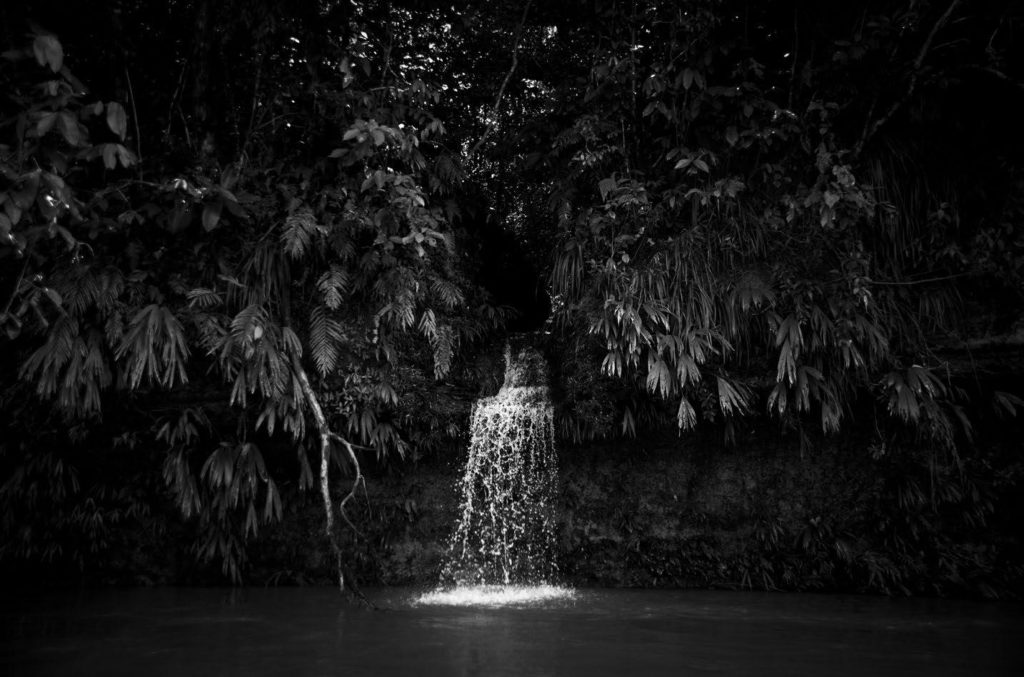 "The Amazon is Turning Black” Fotoausstellung von Barbara Lehnebach und Karne Kunst