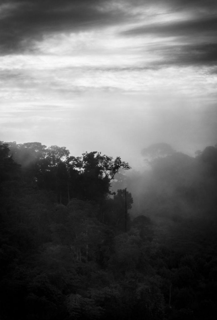 "The Amazon is Turning Black” Fotoausstellung von Barbara Lehnebach. Karne Kunst