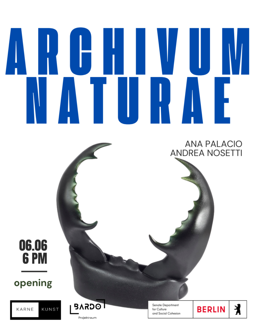 Archivum Naturae. Group exhibition by Ana Palacio and Andrea Nosetti at Bardo Projektraum, Berlin, 2026.