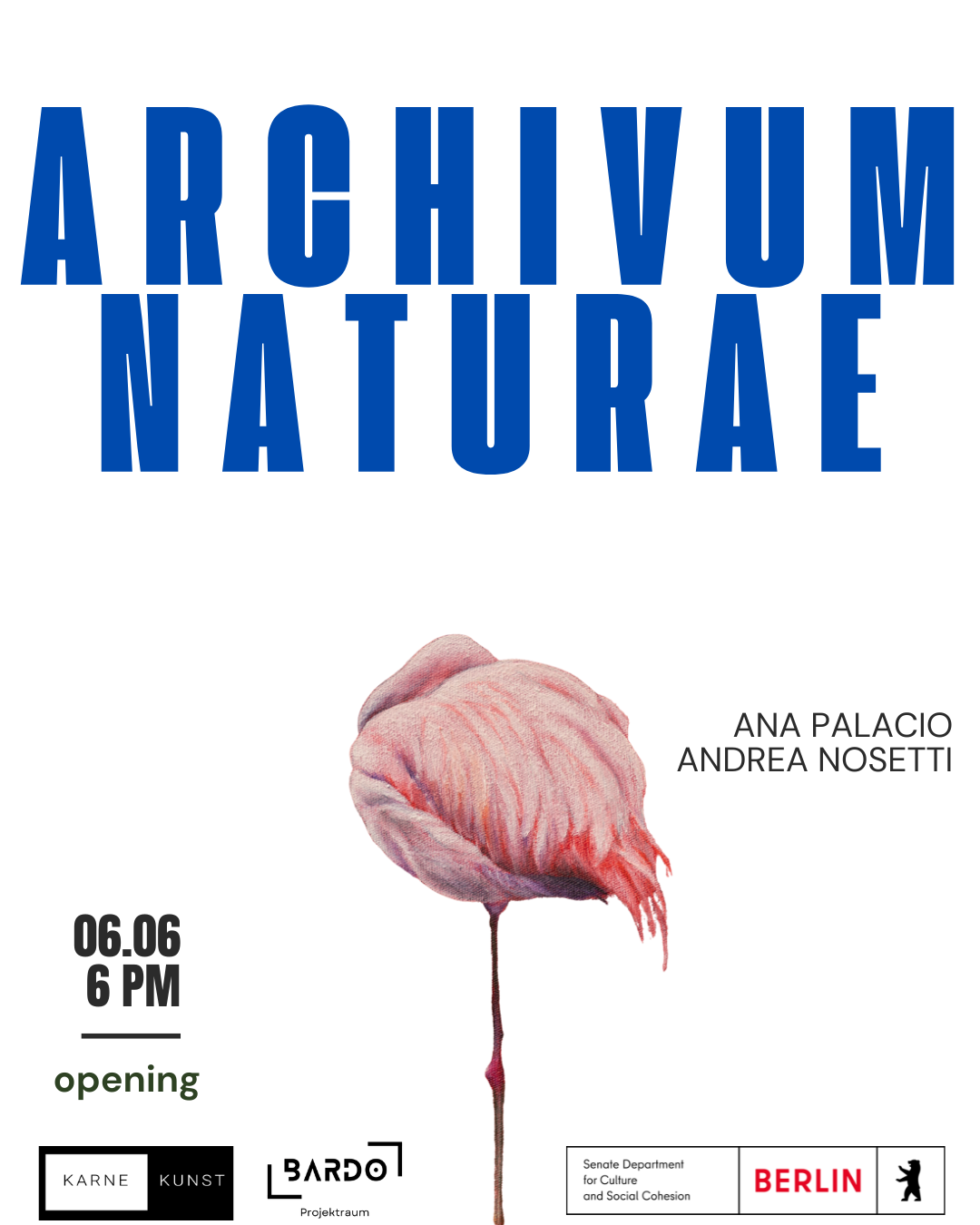 nstallation view of Archivum Naturae exhibition at Bardo Projektraum in Berlin featuring works by Ana Palacio and Andrea Nosetti exploring archives, ecology, and artificial habitats.